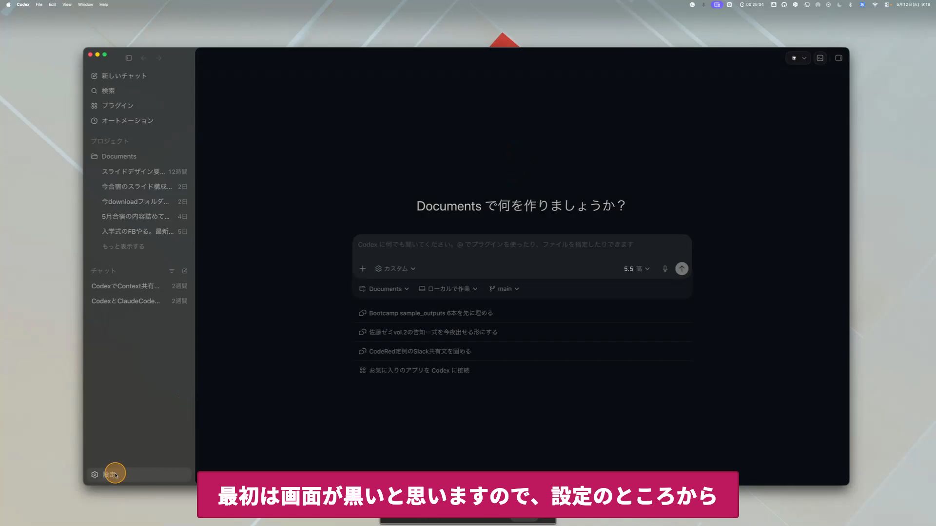 ステップ5: Codex起動と外観設定